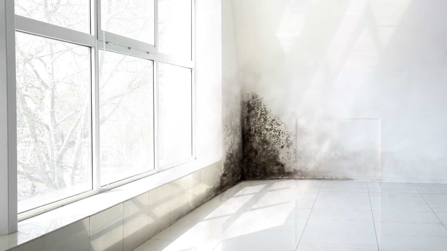 How Winter Affects Indoor Air Quality & Ways to Improve It